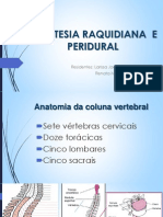 Aula Anestesia Raquidiana e Peridural