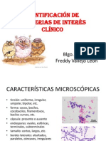 Identificación Microbiana