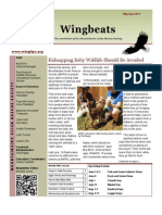 MARS May 2013 Wingbeats Newsletter