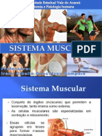 Aula 3 Sistema Muscular UFAM 2013