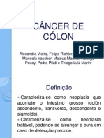 Câncer de cólon: definição, etiologia, epidemiologia, fatores de risco, diagnóstico e tratamento