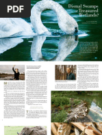 Download Rethinking The Swamp -- Montana Mends Its Wetlands by Montana Quarterly SN147731387 doc pdf