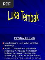 Luka Tembak