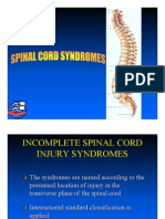 Spinal Cord Syndromes