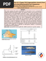 Kertas Cadangan Program Minggu Panitia Pendidikan Islam Kertas Cadangan Program Minggu Panitia Pendidikan Islam