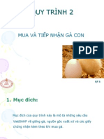 quy_trinh_2_3_mua_tiep_nhan_ga_con.ppt