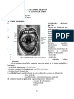 24960686-APARAT-DIGESTIV