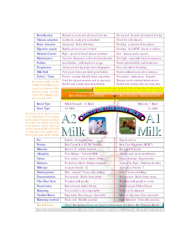 A1 vs A2 Milk: Breed and Benefits | PDF | Milk | Cattle