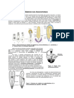 3 - Embriologia Das Angiospermas (Meristemas)