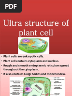 Ultra Structure of Plant Cell 1