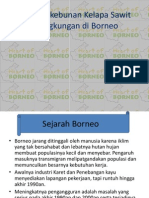 Kelapa Sawit Borneo