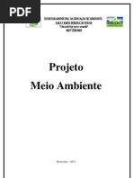 Projeto Meio Ambiente -2013