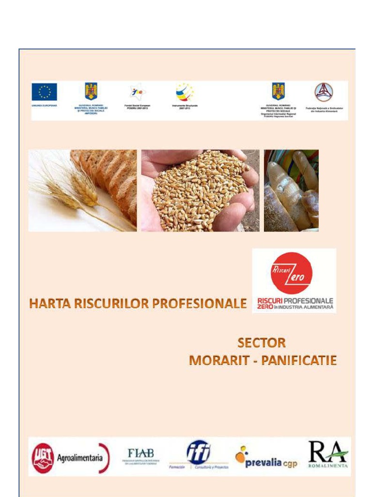 Harta Riscuri Morarit-Panificatie 1 PDF | PDF