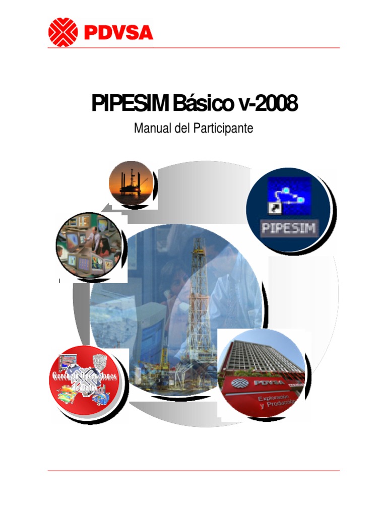 Manual Básico de PIPESIM 2008 | PDF | Gases | Archivo de computadora