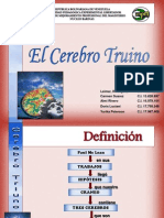 Presentación Cerebro Triuno