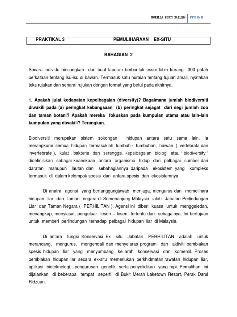 Praktikal 3 Pdf