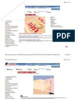 Como Secar Frutasyverduras en Casa PDF