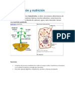 Alimentación y nutrición