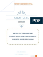 Lopez.hernandez.miguel.angel Resumen de Ciruitos Rl