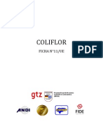 HN Coliflor PDF