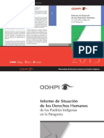ODHPI_informe-2013