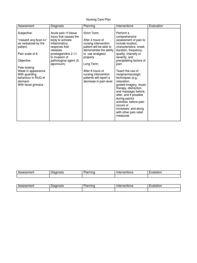 Nursing Care Plan Pain