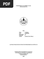 Download Perkembangan Embrio Ayam by KimHabibi Fejervaryacancrivora SN147919040 doc pdf