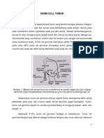 Germ Cell Tumor Guide