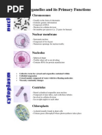 Cell Organelles and Its Primary Functions