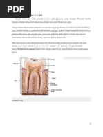 Download Penyakit jaringan keras gigidocx by Imelda Ilyas SN147959524 doc pdf