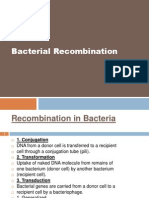 Bacterial DNA Recombination Mechanisms