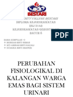 Perubahan Fisiologi Di Kalangan Warga Emas Bagi Sistem Urinari