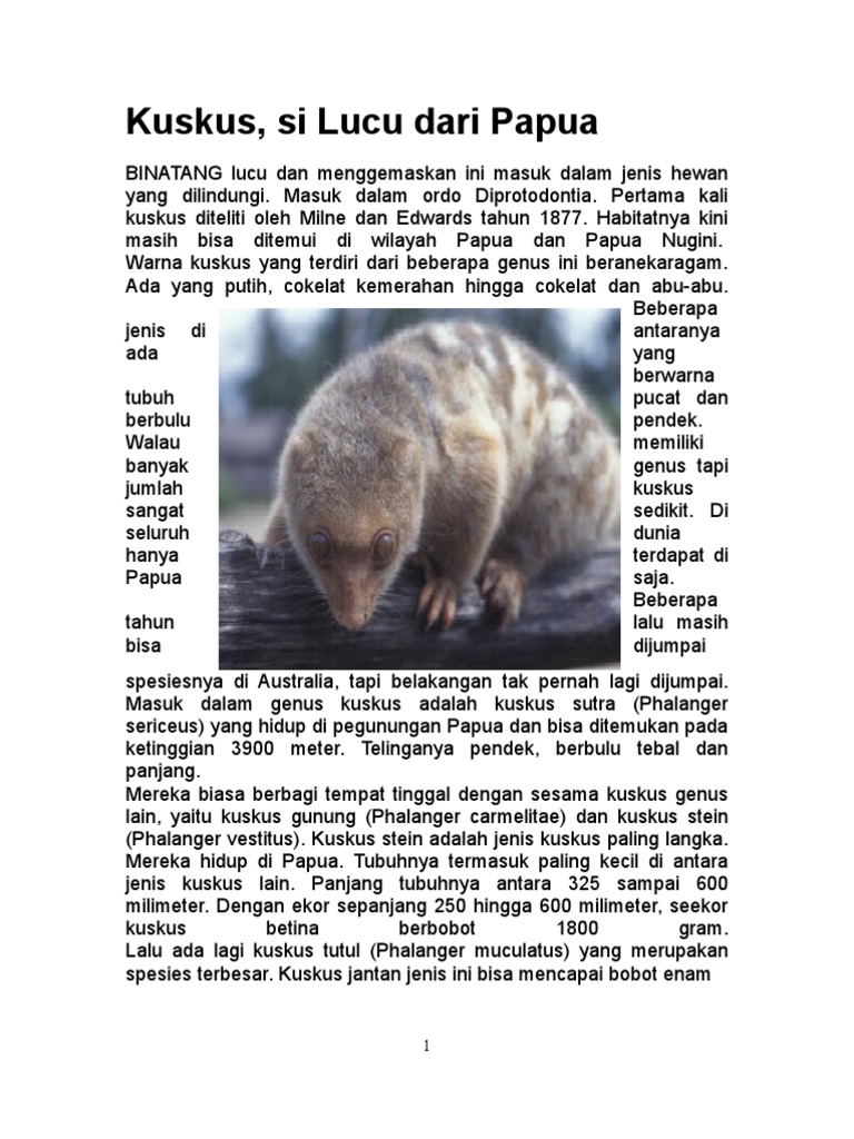 940 Koleksi Gambar Hewan Langka Dan Ciri Cirinya Gratis Terbaru