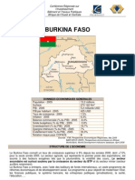 Profil Sectoriel BurkinaFaso