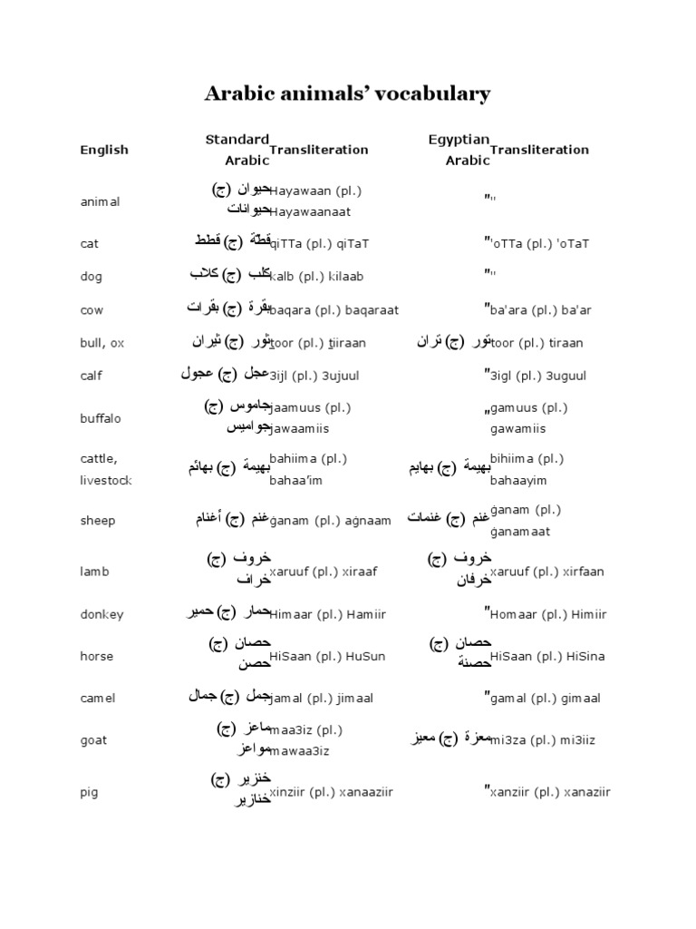 Arabic Vocabulary by Topic