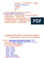 Fiziopatologia Sangelui Rosu 