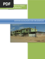 Estudo Ecologico de um Edificio  - Arq. 4º Ano