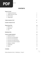 Marketing Plan - Final Report of MTG Mango To UAE