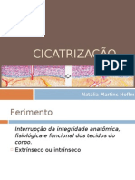 Cicatrização