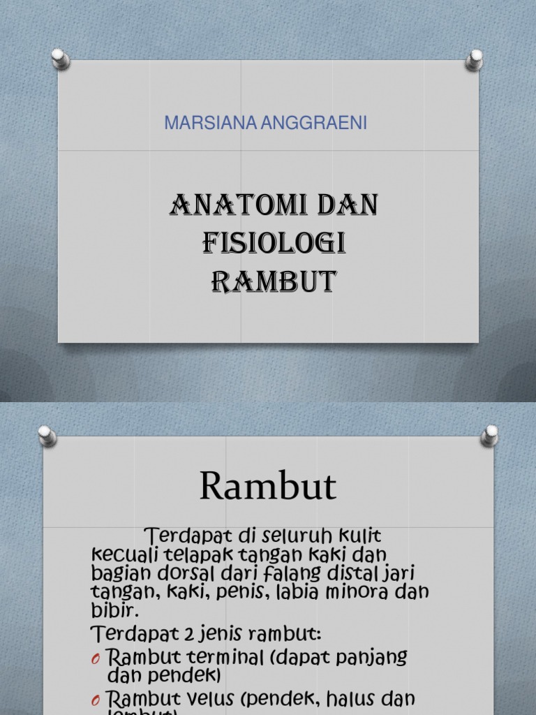 Anatomi dan Fungsi Rambut | PDF | Sains & Matematika