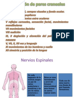 Evalucion neurologica