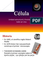 celula