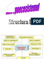 Structura Unui Antropoecosistem