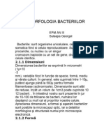 Microbiologie