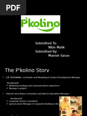P Kolino Presentation By Manish Saran Retail Toys
