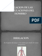 Irrigacion Del Hombro