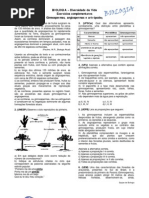 gimnospermas-angiospermas-artropodes