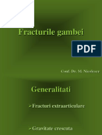 Fracturile Gambei