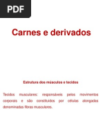 Carnes Derivados