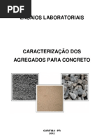 RELATÓRIO DOS AGREGADOS